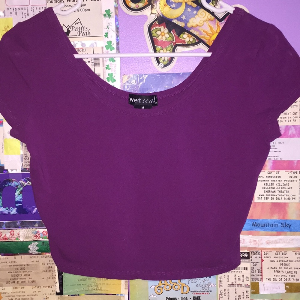 Wet seal plum crop top